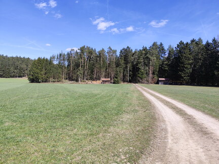 Oberfränkischer Jakobusweg: Pegnitz - Betzenstein