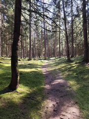 Oberfränkischer Jakobusweg: Pegnitz - Betzenstein
