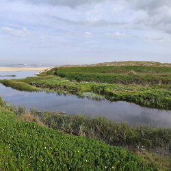 2026-04-23 - Caminho Português - Vila Chã - Aguçadoura
