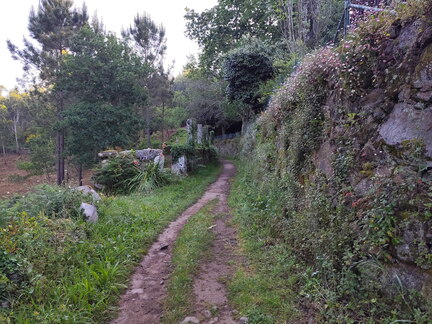 Caminho Português - Carreço - Caminha