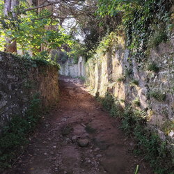 2026-04-26 - Caminho Português - Carreço - Caminha