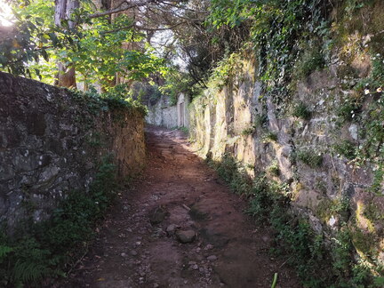 Caminho Português - Carreço - Caminha