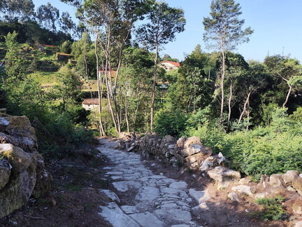 Caminho Português - Carreço - Caminha