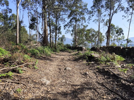 Caminho Português - Carreço - Caminha