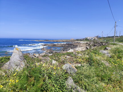 Caminho Português - Carreço - Caminha