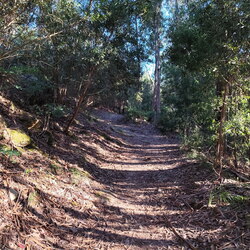 2026-04-27 - Caminho Português - Caminha - A Guarda