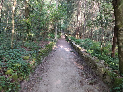 Caminho Português - Caminha - A Guarda