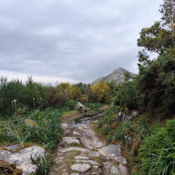 2026-04-29 - Caminho Português - O Porto - Nigrán