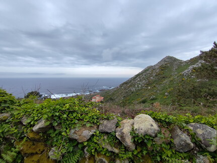 Caminho Português - O Porto - Nigrán