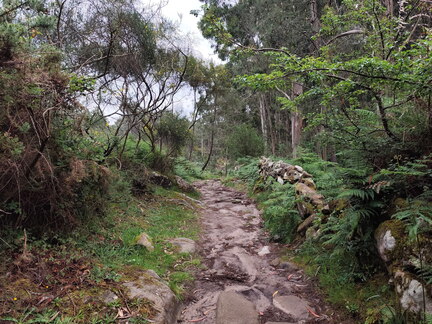 Caminho Português - O Porto - Nigrán