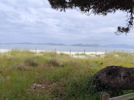Caminho Português - Nigrán - Vigo
