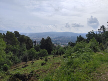 Caminho Português - Vigo - Redondela