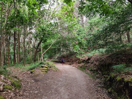 Caminho Português - Redondela - Pontevedra