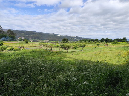 Caminho Português - Redondela - Pontevedra