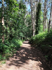 Caminho Português - Redondela - Pontevedra