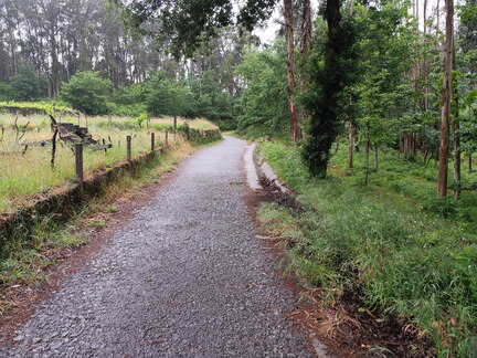 Caminho Português - E Spiritual - Pontevedra - Combarro