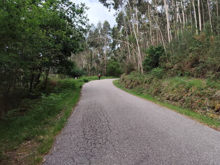 Caminho Português - E Spiritual - Combarro - Barrantes