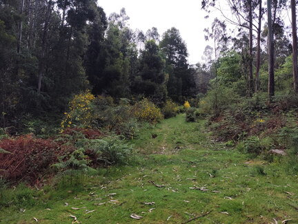 Caminho Português - E Spiritual - Combarro - Barrantes
