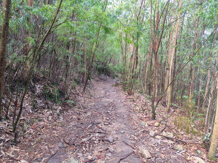 Caminho Português - E Spiritual - Combarro - Barrantes