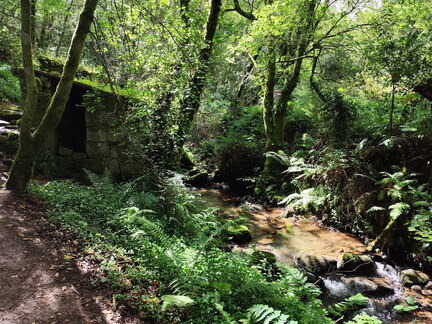 Caminho Português - E Spiritual - Combarro - Barrantes