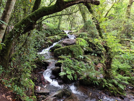 Caminho Português - E Spiritual - Combarro - Barrantes