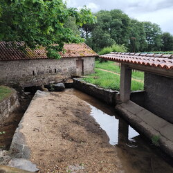 2026-05-04 - Caminho Português - E Spiritual - Combarro - Barrantes