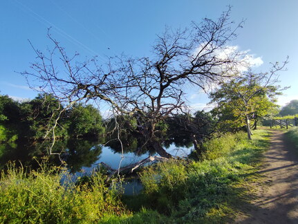 Caminho Português - E Spiritual - Barrantes - Vilanova de Arousa