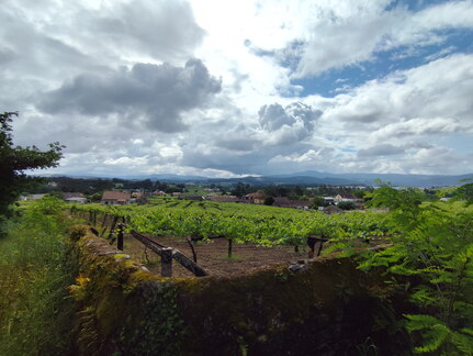 Caminho Português - E Spiritual - Barrantes - Vilanova de Arousa