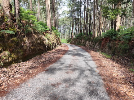 Caminho Português - E Spiritual - Barrantes - Vilanova de Arousa