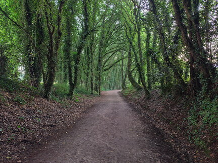 Caminho Português - O Faramello - Santiago de Compostella