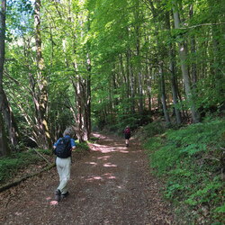 2026-05-23 - Oberfränkischer Jakobusweg Betzenstein - Gräfenberg