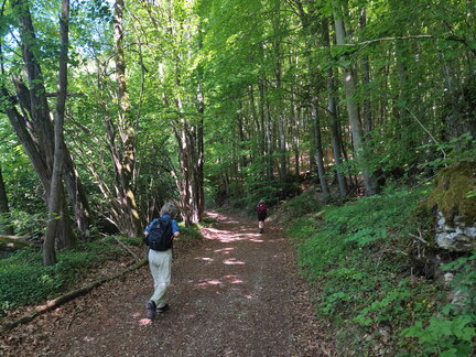 Oberfränkischer Jakobusweg: Betzenstein - Gräfenberg