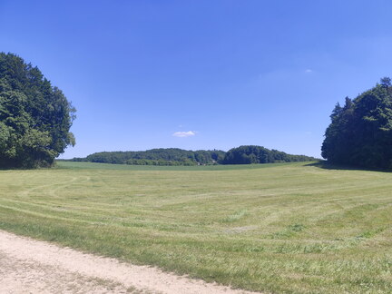 Oberfränkischer Jakobusweg: Betzenstein - Gräfenberg