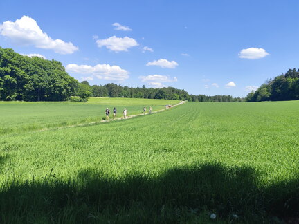 Oberfränkischer Jakobusweg: Betzenstein - Gräfenberg