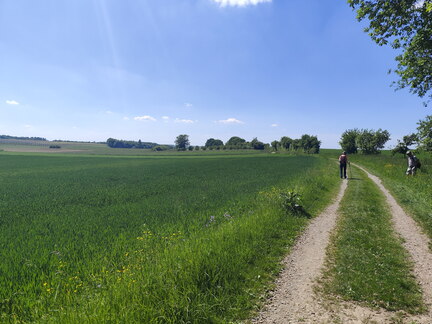 Oberfränkischer Jakobusweg: Betzenstein - Gräfenberg