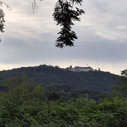 2026-06-20/21 - Königswinter