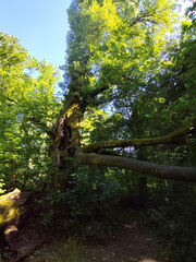 20260704-162448-0018-Begegnen-Bewegen-Besinnen