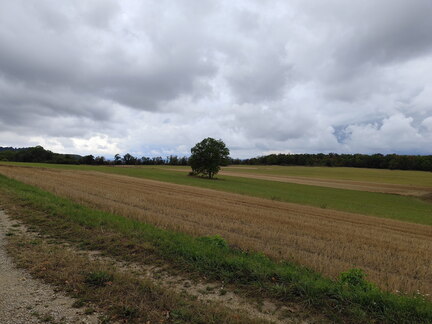 Jakobusweg Lichtenfels - Zapfendorf